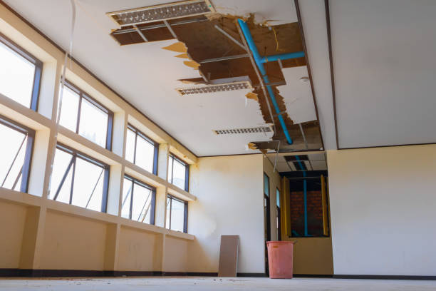 Best Fire Damage Restoration  in South Daytona, FL