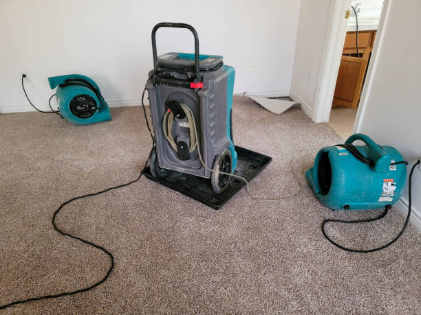 Best Basement water damage restoration  in South Daytona, FL