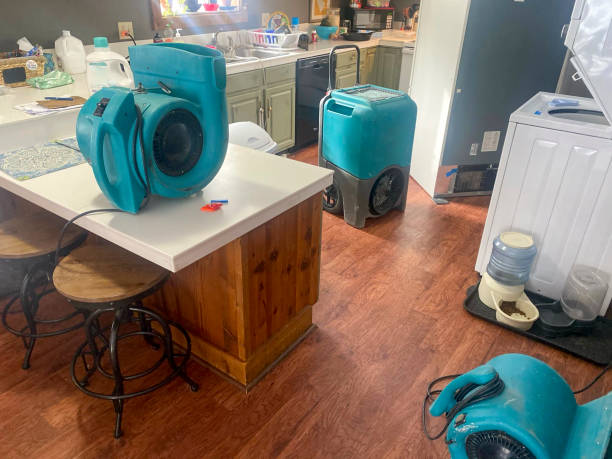 Best Carpet water damage restoration  in South Daytona, FL