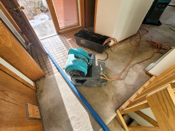 Best Sewage cleanup and water damage restoration  in South Daytona, FL