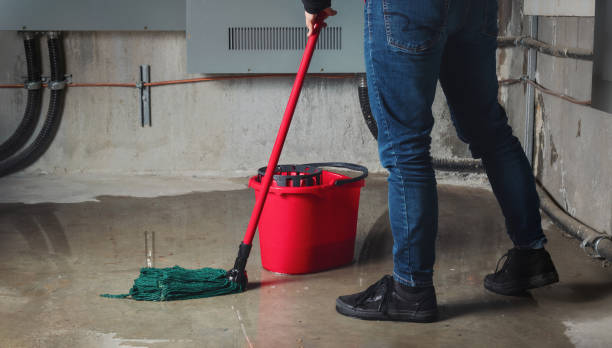 Best Flood restoration services  in South Daytona, FL