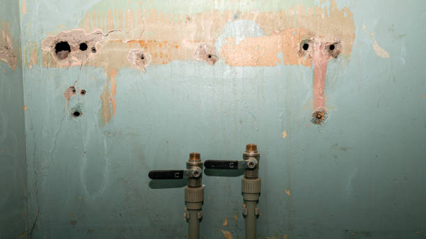 Best Water damage cleanup near me  in South Daytona, FL