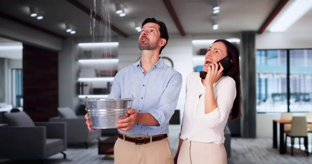 Best 24-hour water damage restoration  in South Daytona, FL